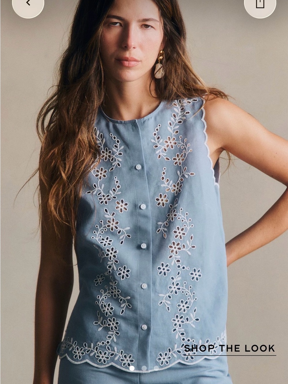 Sézane Isea Embroidered Sleeveless Button-Front Top - Light Blue